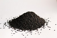 Blackseed has a healing power over many diseases and conditions except death